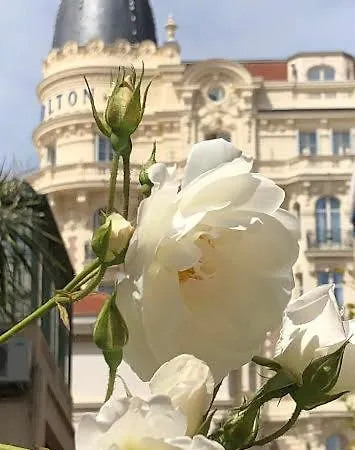 Appartement Croisette Cannes