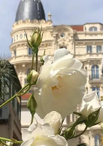 アパート Croisette カンヌ